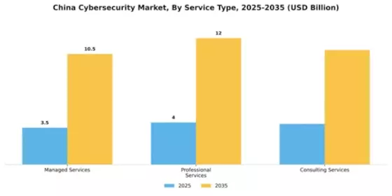 China Cybersecurity Market Segment Image 3