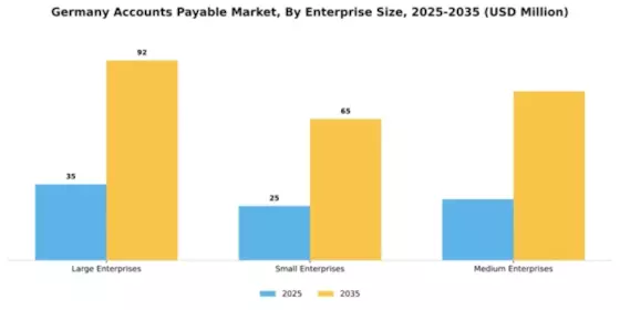 Germany Account Payable Market Segment Image 2