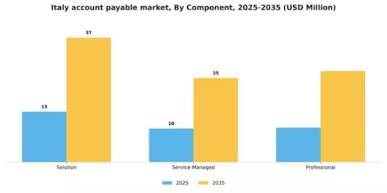 Italy Account Payable Market  Segment Image 0