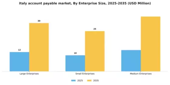 Italy Account Payable Market  Segment Image 2