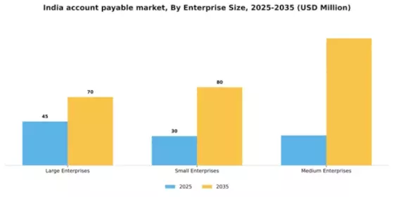 India Account Payable Market Segment Image 2