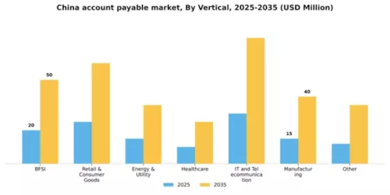 China Account Payable Market Segment Image 3