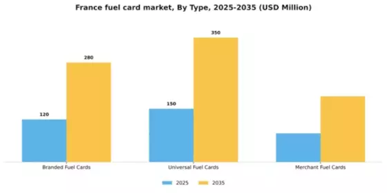 France Fuel Card Market Segment Image 1