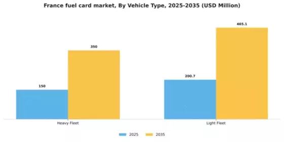 France Fuel Card Market Segment Image 2