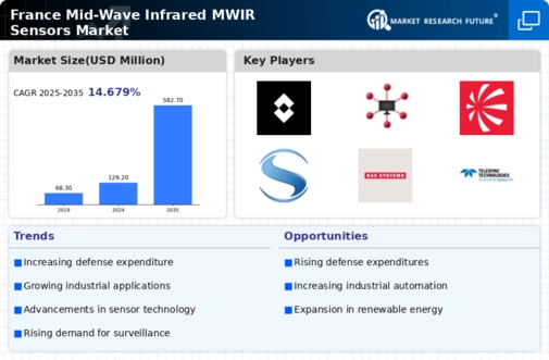 France Mid-Wave Infrared Sensors Market Infographic