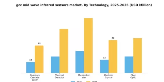 GCC Mid Wave Infrared Sensors Market Segment Image 2