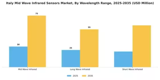 Italy Mid Wave Infrared Sensors Market Segment Image 4