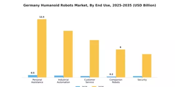 Germany Humanoid Robots Market Segment Image 1