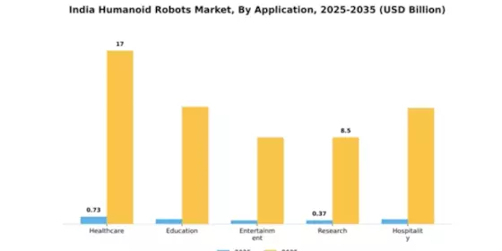 India Humanoid Robots Market Segment Image 0