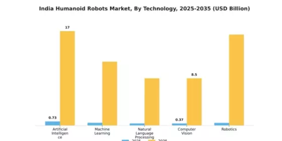 India Humanoid Robots Market Segment Image 3