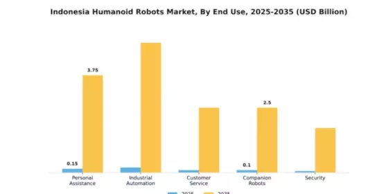 Indonesia Humanoid Robots Market Segment Image 1