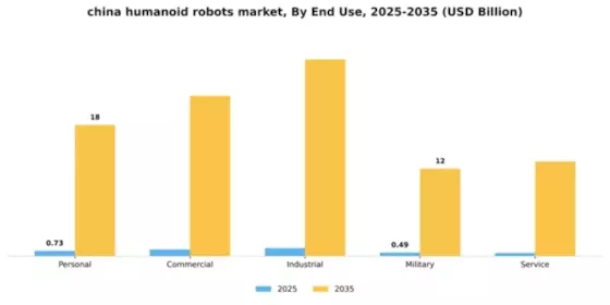 China Humanoid Robots Market Segment Image 2