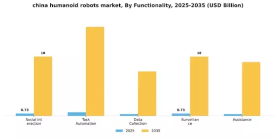 China Humanoid Robots Market Segment Image 3