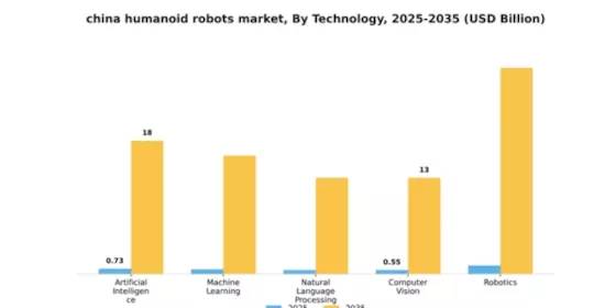 China Humanoid Robots Market Segment Image 4
