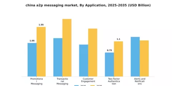 China A2P Messaging Market Segment Image 0