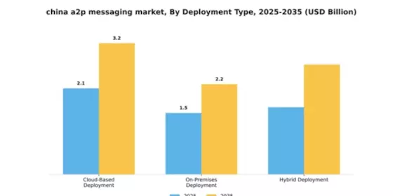 China A2P Messaging Market Segment Image 1