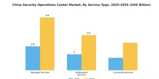 China Security Operations Center Market Segment Image 3