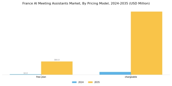 France AI Meeting Assistants Market Segment Image 1