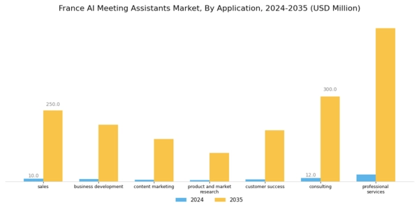 France AI Meeting Assistants Market Segment Image 2