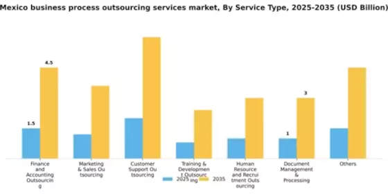 Mexico Business Process Outsourcing Services Market Segment Image 2