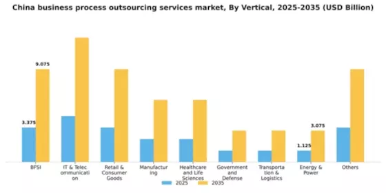 China Business Process Outsourcing Services Market Segment Image 3
