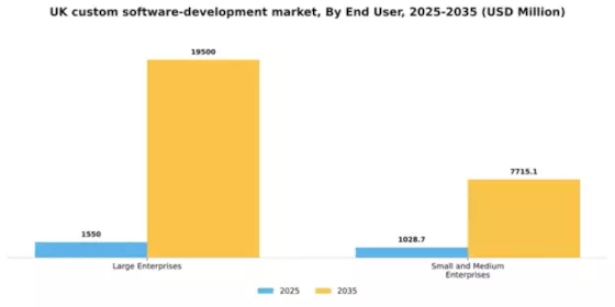 UK Custom Software Development Market Segment Image 1