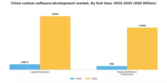 China Custom Software Development Market Segment Image 1