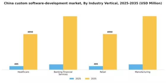 China Custom Software Development Market Segment Image 2