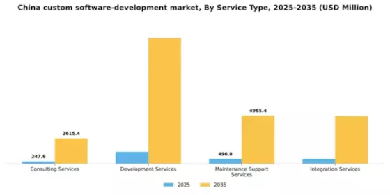 China Custom Software Development Market Segment Image 3