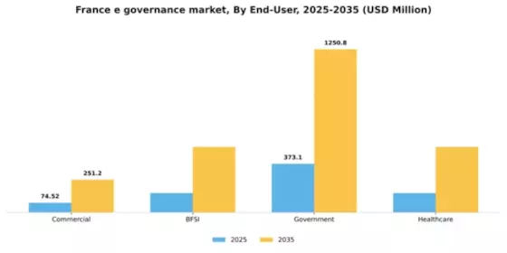 France E Governance Market Segment Image 2