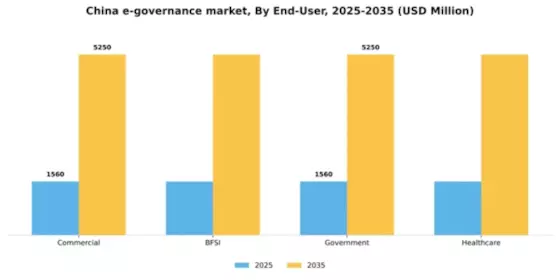 China E Governance Market Segment Image 2