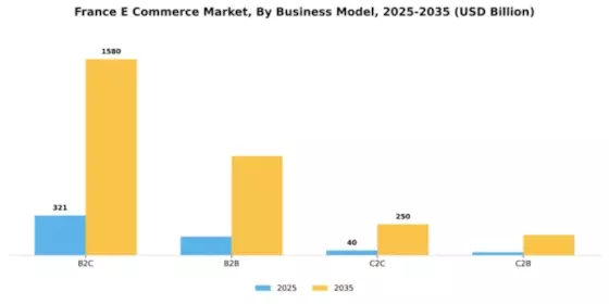 France E Commerce Market Segment Image 0