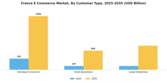 France E Commerce Market Segment Image 1