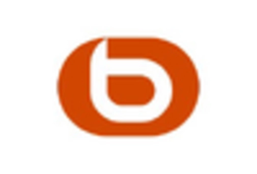 France E Commerce Market key player