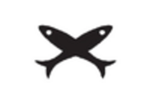 Brazil Denim Market key player