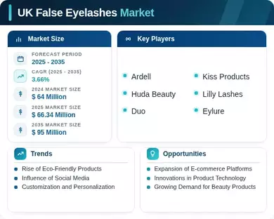 UK False Eyelashes Market Infographic