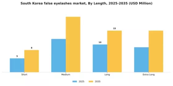 South Korea False Eyelashes Market Segment Image 1
