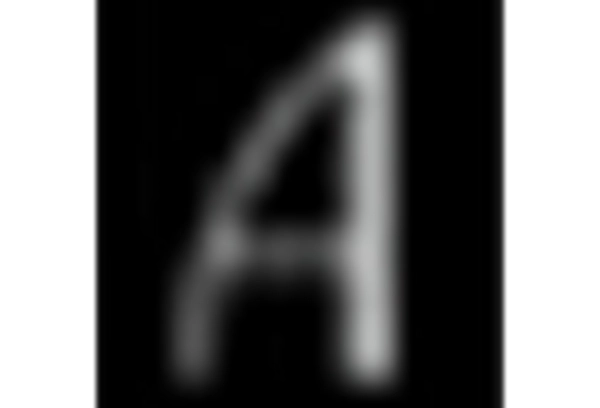 Germany False Eyelashes Market key player