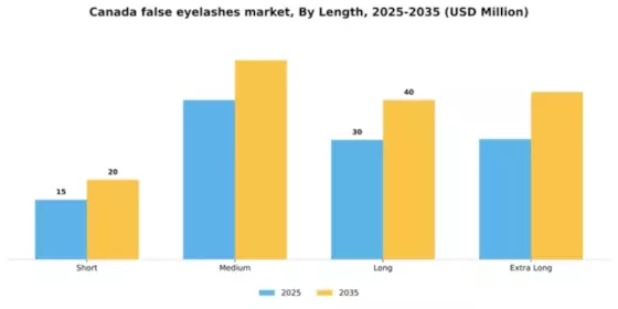 Canada False Eyelashes Market Segment Image 1