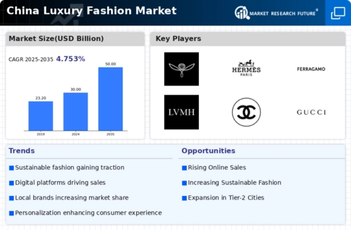 China Luxury Fashion Market Infographic