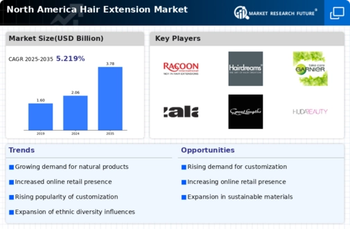North America Hair Extension Market Infographic
