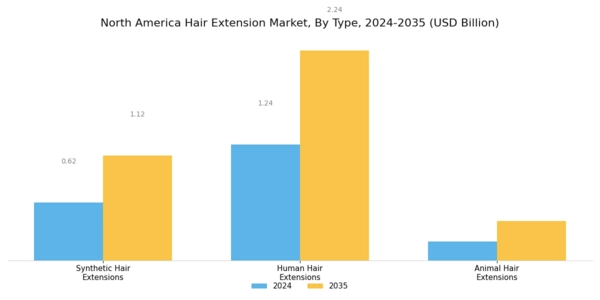 North America Hair Extension Market Segment Image 0