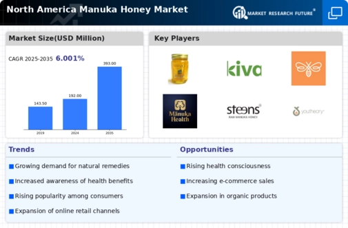 North America Manuka Honey Market Infographic