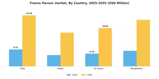 France Flavour Market Segment Image 1