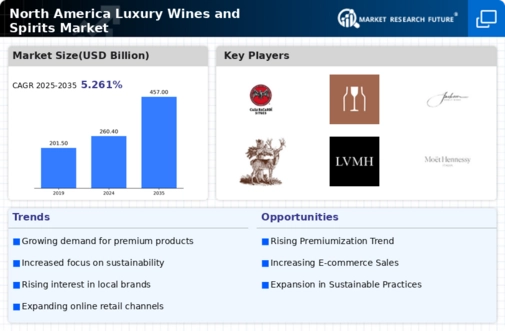 North America Luxury Wines and Spirits Market Infographic