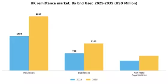 UK Remittance Market Segment Image 1
