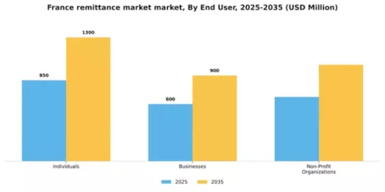 France Remittance Market Segment Image 1