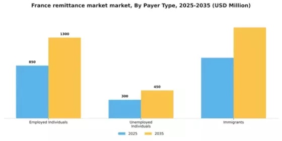 France Remittance Market Segment Image 2