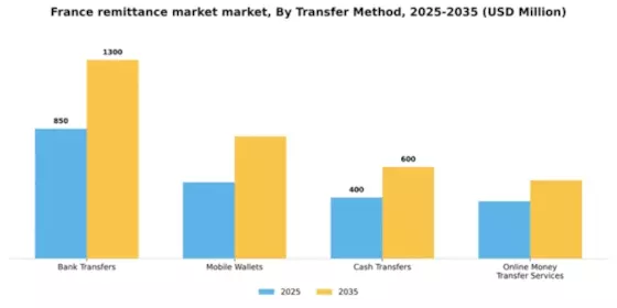France Remittance Market Segment Image 3