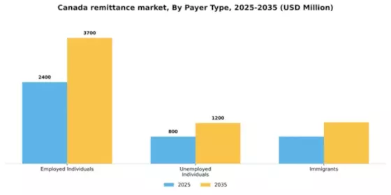 Canada Remittance Market Segment Image 2